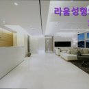 기쁨성형외과의원 | [강남 성형외과 추천] 라움성형외과의원 라움성형외과, 신뢰할 수 있는 선택