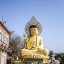 1월 사촌들과 제주도 여행 후기2 - 오설록 티뮤지엄, 산방사, 쉬는팡