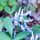 종합사회복지관 대산분관 이미지