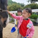 대가초등학교, 대가초교(병설유치원) 이미지