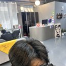 신비헤어 이미지