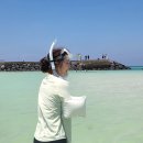 성산포수산업협동조합 | 제주도 여행 1일차 :: 이재모피자 오픈런, 김녕해수욕장, 성산포수협 참돔