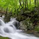 금원산자연휴양림(거창) 이미지