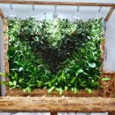 다산호스텔 이미지