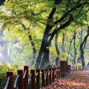 운곡생태습지길 4코스 이미지