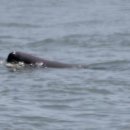 매부리~성산 이미지