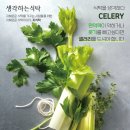 식탁을 생각하다.면역력이 약하거나 붓기를 빼고 싶다면 CELERY. 이미지