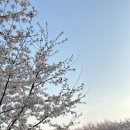 양재시민의숲역 1번출구 이미지