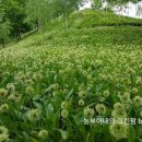 종명농장 이미지