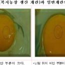 병두농장 네이버블로그