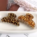 엘리스헤어 이미지