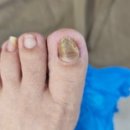 레푸스 방이역점 이미지