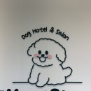 멍스테이 애견미용 애견호텔 수원광교점 이미지