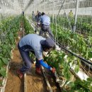 웅촌농장 이미지