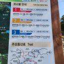 237차.보령오서산(성연주차장) 이미지