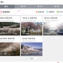 개화펜션 이미지