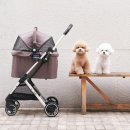 커피리안 이미지