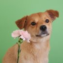 견생유치원 이미지