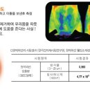 건미인 이미지