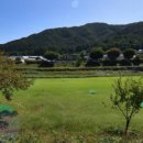 오곡 파크골프장 이미지