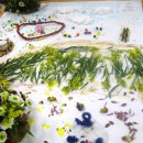 도봉서원종합사회복지관 이미지