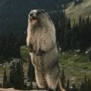 올드짐 아주점 이미지