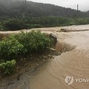 녹동천 이미지
