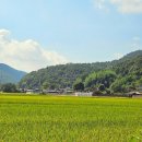 충효상회