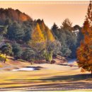 금강 휘트니스 이미지