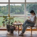 서울에이스정형외과의원 이미지