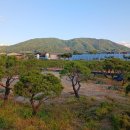 솔모루약국 이미지