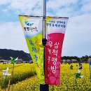 4월 20일(금).....[삼척투어] 맹방유채꽃~봉황산 자연 휴양림 트레킹[기타] 이미지