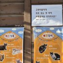 반포파크여관 | 12월 겨울 글램핑 :: 공주 계룡산 글램핑 :: 파크 오브 드림 내 돈 내산 후기