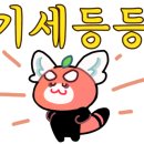 더스윙고양 이미지