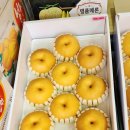 은아상회 이미지