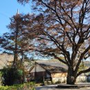 픽미픽업 이미지