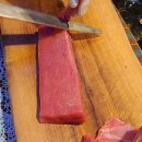 사이꼬참치 이미지