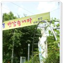 평화쉼터 이미지