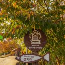 용소막마을 이미지