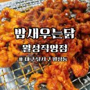 쌍용자동차 대구북구서비스프라자 | 대구 월성동 맛집 밤새우는닭 | 닭안창살 닭발 솔직 후기
