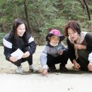 큰빛자연생태어린이집 이미지