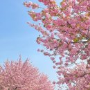 (주)잎이피지