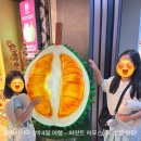 몽스텔 | [말레이시아 3박4일 자유여행] 하얏트 하우스 쿠알라룸푸르 호텔, 몽 키아라 맛집 더 소셜 The Social 추천