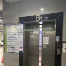 원 핏 아라 이미지