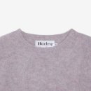 스테디독 이미지