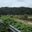 충남축산 이미지