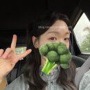 🥦 설악켄싱턴호텔 스냅촬영후기(도트무늬 벽지, 미기후 작가, 플로뉴 드레스, 손수 데일리 헤메)