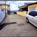 금일읍-2 이미지