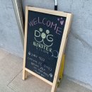 도그노리터 이미지