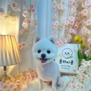 플라이봉 이미지